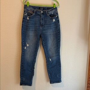 Judy Blue Straight Leg Distressed Rainbow Jeans Women's Size 15